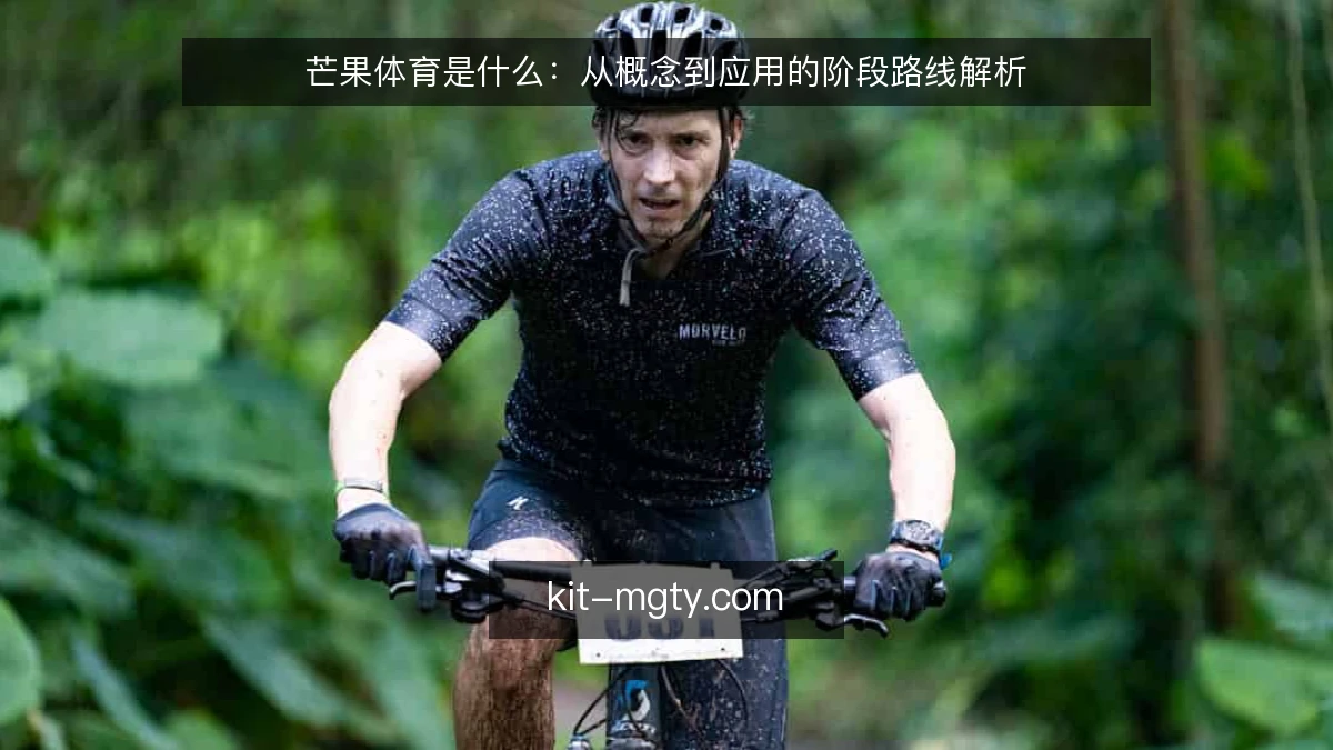 芒果体育是什么:从概念到应用的阶段路线解析