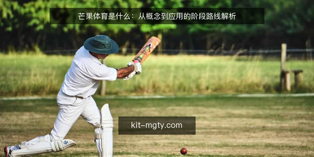 芒果体育是什么：从概念到应用的阶段路线解析 — 定义与核心边界 配图