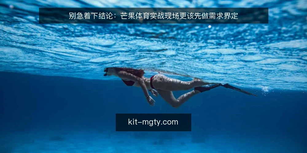 别急着下结论:芒果体育实战现场更该先做需求界定 — 实战现场的需求到底指什么 配图