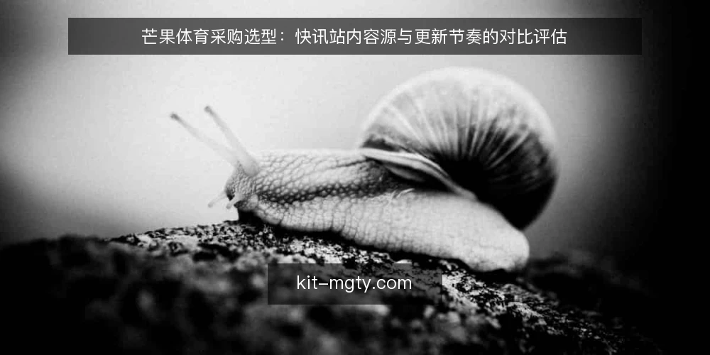 芒果体育采购选型：快讯站内容源与更新节奏的对比评估 — 先定评测标准：采购前必须想清的三件事 配图