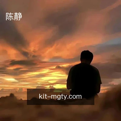 陈静